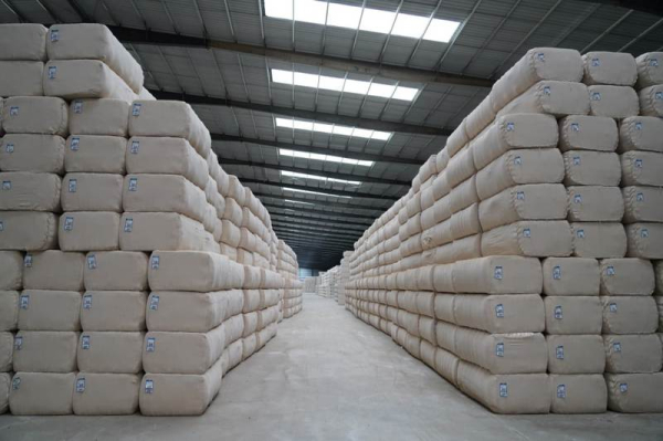 В Туркестанской области запустили современный хлопкоперерабатывающий завод