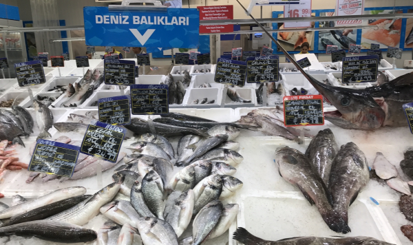 Свежие морепродукты для Алматы и Астаны: кто формирует новый рынок Казахстана Свежие морепродукты для Алматы и Астаны: кто формирует новый рынок Казахстана