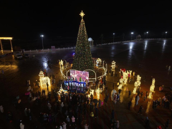 
Сияние зимы: как выглядят главные новогодние ёлки в городах Казахстана
