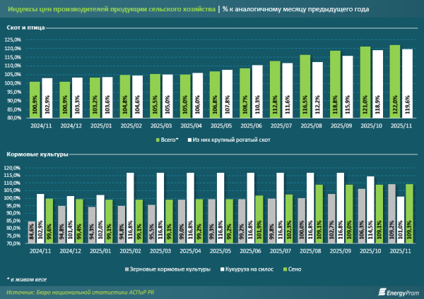 В Казахстане наблюдается скачок роста цен на мясные продукты