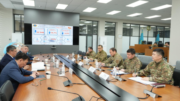 Депутаты Сената поддержали инициативы МЧС по повышению безопасности населения