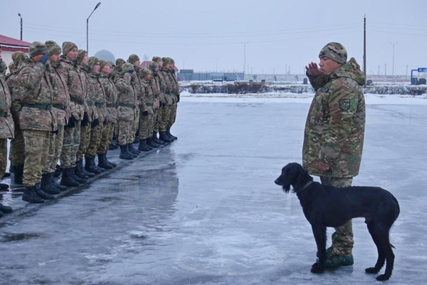 Четвероногий &laquo;солдат&raquo; служит в войсковой части Вооруженных сил