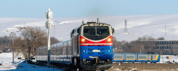 В Алматы зажгли главную новогоднюю елку