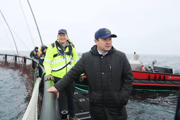 30 тысяч мальков форели выпустили на рыбоводческой ферме в Каспийском море 30 тысяч мальков форели выпустили на рыбоводческой ферме в Каспийском море