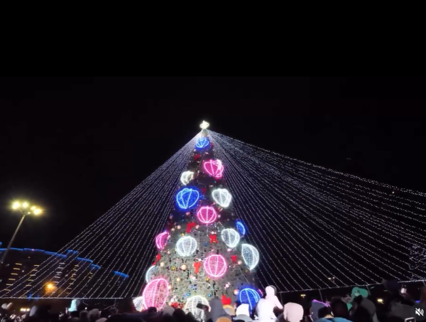 
Сияние зимы: как выглядят главные новогодние ёлки в городах Казахстана
