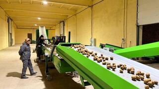 В Степногорске расширяется производство картофеля В Степногорске расширяется производство картофеля