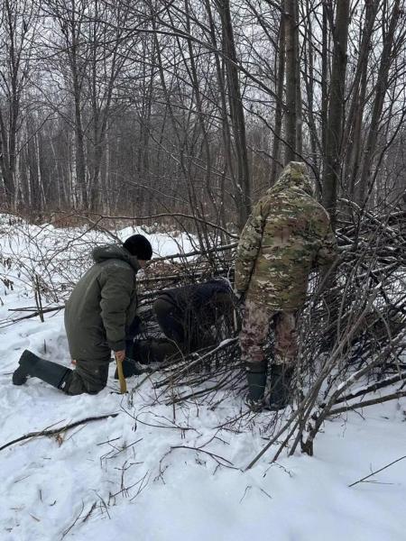 Хабаровские эксперты поделились с казахстанцами опытом по работе с амурским тигром Хабаровские эксперты поделились с казахстанцами опытом по работе с амурским тигром