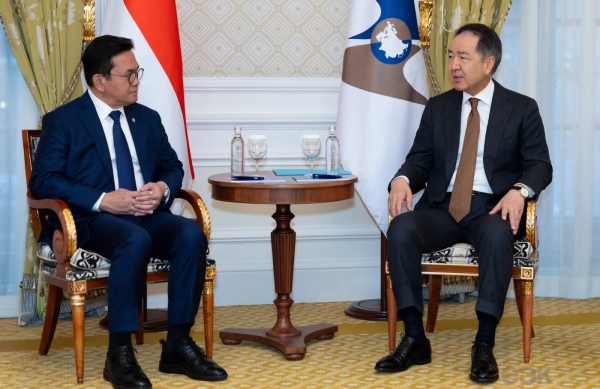 ЕАЭС и Индонезия расширяют торгово-экономическое партнерство