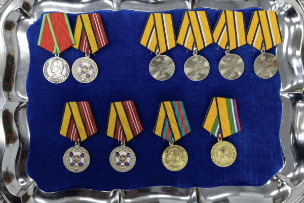 СВО: Анна Цивилева вручила госнаграды участникам спецоперации 