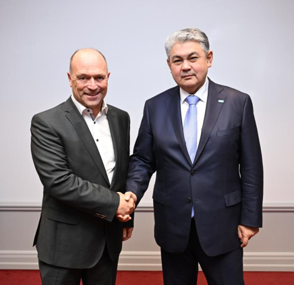 Швейцарские инвесторы готовы реализовать проекты в ключевых секторах Казахстана