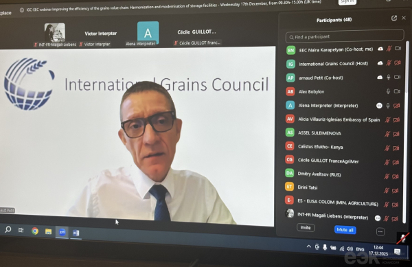 ЕЭК: цифровизация складского хранения станет драйвером торговли зерном в ЕАЭС