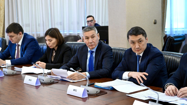 Упрощение торговли: Казахстан сделал ставку на цифровизацию