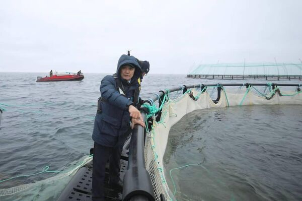 30 тысяч мальков форели выпустили на рыбоводческой ферме в Каспийском море 30 тысяч мальков форели выпустили на рыбоводческой ферме в Каспийском море