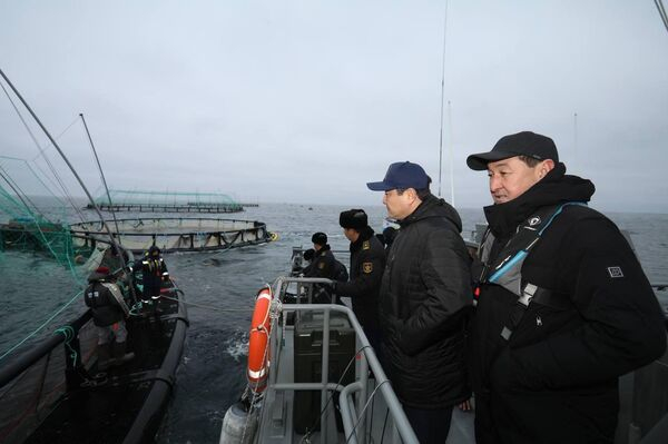 30 тысяч мальков форели выпустили на рыбоводческой ферме в Каспийском море 30 тысяч мальков форели выпустили на рыбоводческой ферме в Каспийском море