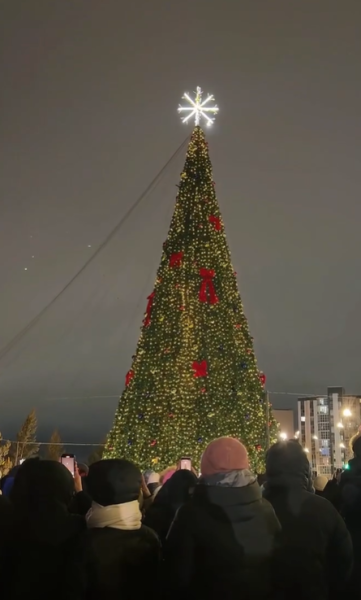 
Сияние зимы: как выглядят главные новогодние ёлки в городах Казахстана
