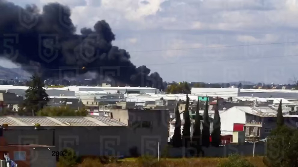 
Частный самолёт упал в Мексике: все находившиеся на борту люди погибли
