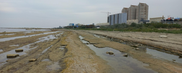 Россия могла бы стать наблюдателем в Международном фонде спасения Арала - Токаев