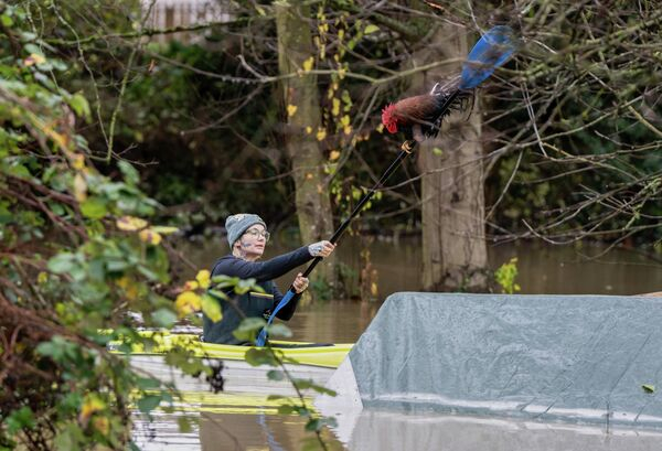 От заплыва памяти в Сиднее до фестиваля причесок в Нигерии: самые яркие фото недели От заплыва памяти в Сиднее до фестиваля причесок в Нигерии: самые яркие фото недели