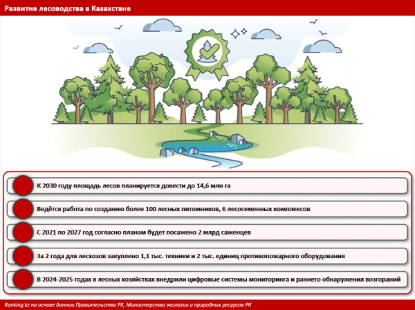 Леса Казахстана: что происходит с природным достоянием страны? Леса Казахстана: что происходит с природным достоянием страны?