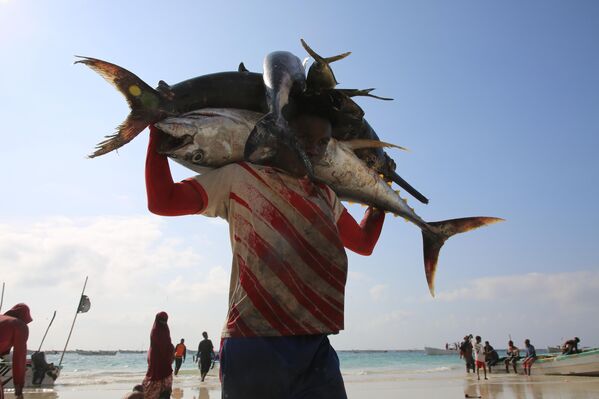 От заплыва памяти в Сиднее до фестиваля причесок в Нигерии: самые яркие фото недели От заплыва памяти в Сиднее до фестиваля причесок в Нигерии: самые яркие фото недели