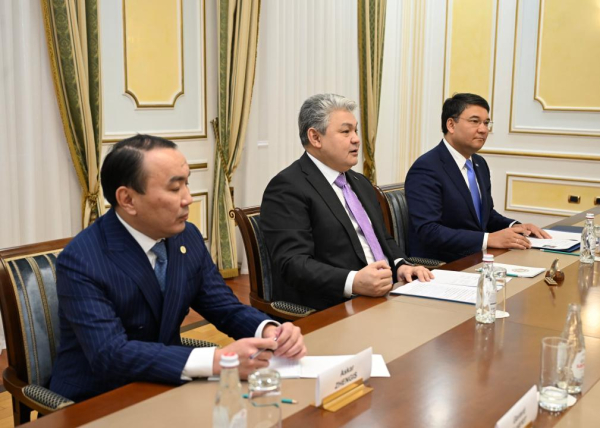 Ермек Кошербаев: Казахстан открыт для долгосрочных инвестиций