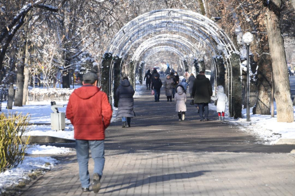 Новогодняя ночь в Алматы подарила городу 21 новорождённого