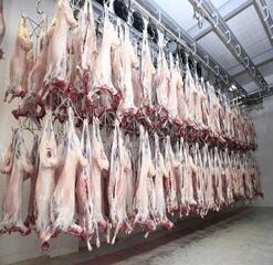 СОЦИАЛЬНЫЕ УЧРЕЖДЕНИЯ ТУРКЕСТАНСКОЙ ОБЛАСТИ ПЕРЕХОДЯТ НА МЕСТНУЮ ПРОДУКЦИЮ