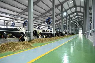 СОЦИАЛЬНЫЕ УЧРЕЖДЕНИЯ ТУРКЕСТАНСКОЙ ОБЛАСТИ ПЕРЕХОДЯТ НА МЕСТНУЮ ПРОДУКЦИЮ