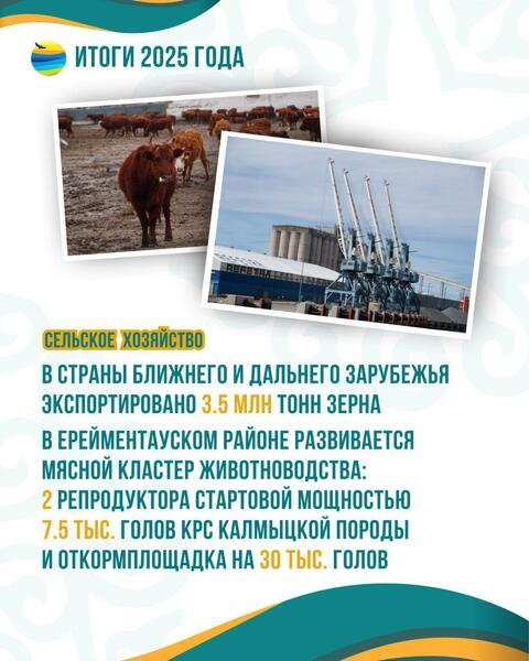 Акмолинская область в 2025 году подтвердила статус ведущего аграрного региона страны