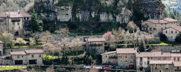 Три новые генеральские должности могут появиться в АФМ - Токаев