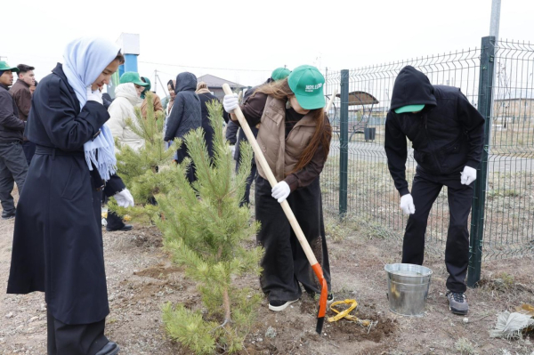 37 экологических инициатив запланированы в Акмолинской области на 2026 год