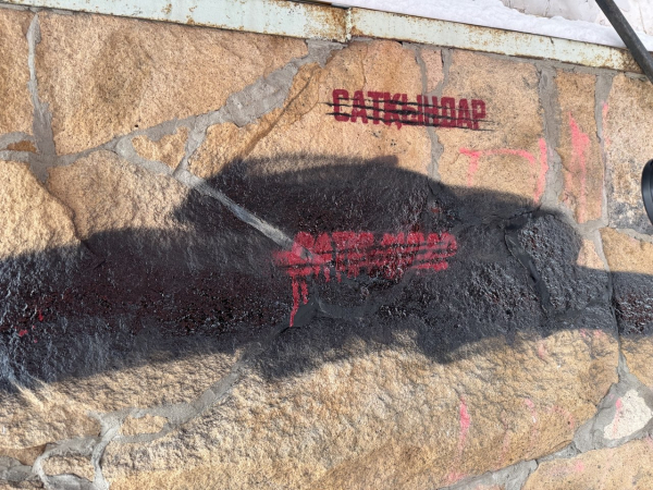 "Сложная работа". Как активная молодёжь проводит антинаркотические рейды в городах Казахстана
"Сложная работа". Как активная молодёжь проводит антинаркотические рейды в городах Казахстана