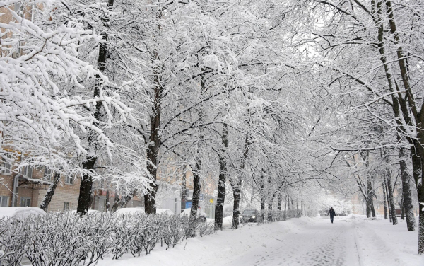 Мороз, туман и метели: какая погода ждет Казахстан 30 и 31 января