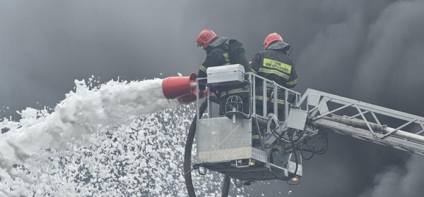 От паводков до пожаров: с чем чаще всего сталкиваются спасатели