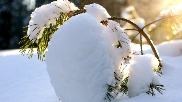 Зима берет паузу? Что будет с погодой в Казахстане 31 января