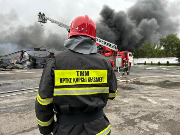 От паводков до пожаров: с чем чаще всего сталкиваются спасатели