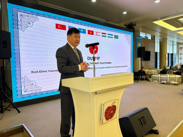 Какие возможности Казахстан предложил турецкому бизнесу