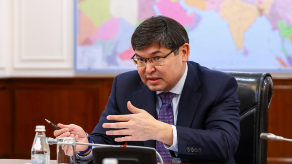 Правительство Казахстана реформирует систему финансирования частных школ и клиник