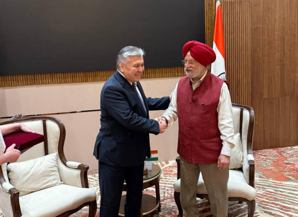 ЕЭК и Индия укрепляют сотрудничество в сфере энергетики