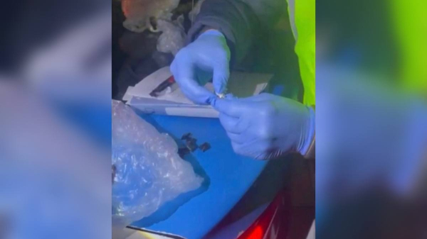 Интернет-магазин и закладки: полиция раскрыла наркосхему в Алматы