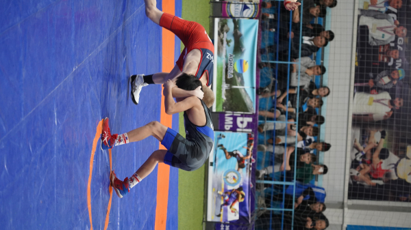 Аким Кокшетау Ануар Кумпекеев посетил чемпионат по борьбе среди юниоров