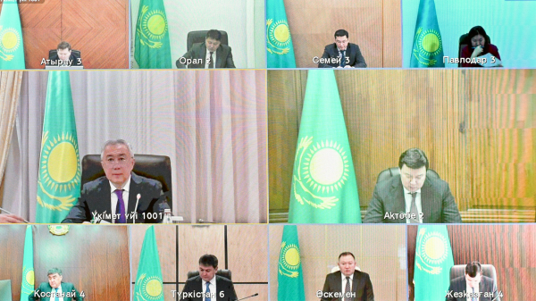 Казахстан сокращает зерновые и делает ставку на высокомаржинальные культуры Казахстан сокращает зерновые и делает ставку на высокомаржинальные культуры