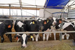 Акмолинская область возглавила рейтинг регионов по темпам роста инвестиций Акмолинская область возглавила рейтинг регионов по темпам роста инвестиций