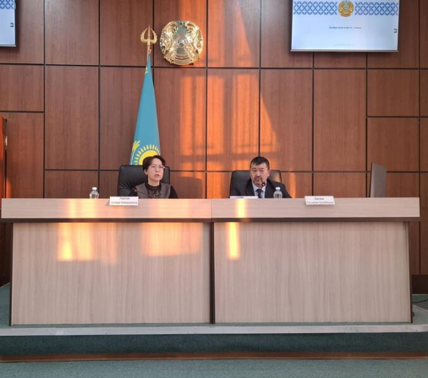 Заместитель акима области проинспектировала медицинские и социальные объекты района Биржан сал Заместитель акима области проинспектировала медицинские и социальные объекты района Биржан сал