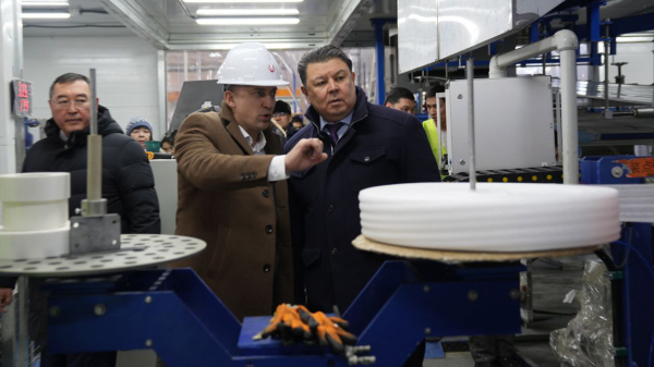 Как один завод в Алматинской области закроет целый сегмент импорта