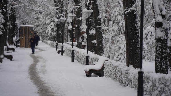 29 января станет самым холодным днем недели в Казахстане