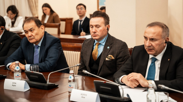 Аида Балаева обозначила приоритеты экономической интеграции тюркского мира Аида Балаева обозначила приоритеты экономической интеграции тюркского мира