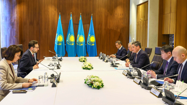 ИИ, $1,2 млрд и &laquo;золотая виза&raquo;: как Казахстан меняет правила для инвесторов