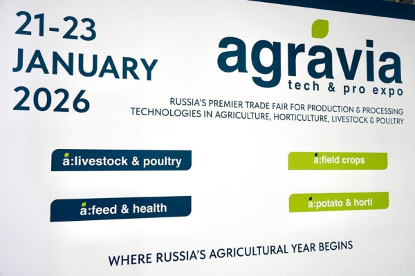 Большие поля и большие планы: как Казахстан и Россия усиливают аграрное партнерство