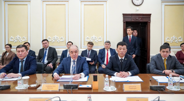 Инвестор приходит не в &laquo;чистое поле&raquo;: в Казахстане запущена новая модель развития индустриальных зон